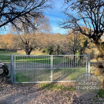 Cancello per terreno agricolo
