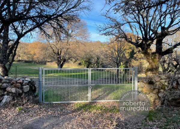 Cancello per terreno agricolo